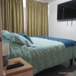 arriendo departamento Providencia 12