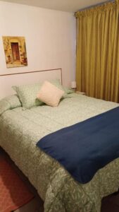 arriendo departamento Providencia 13